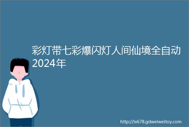 彩灯带七彩爆闪灯人间仙境全自动2024年